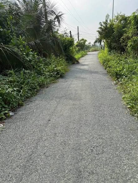 Chính chủ cần bán gấp 3 công đất vườn Vĩnh Công, Châu Thành, Long An - Giá tốt chỉ 899tr/công