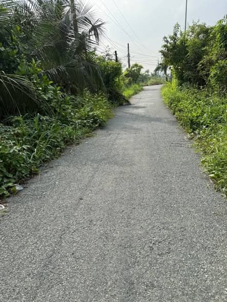 3 Công Đất Vườn Xã Vĩnh Công, Châu Thành, Long An - Giá Tốt 899tr/Công