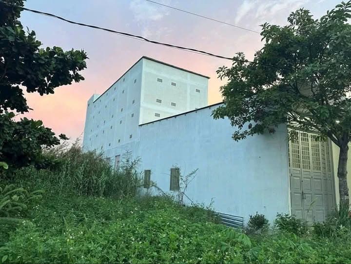 Bán gấp nhà yến mặt tiền lộ nhựa Cai Lậy, Tiền Giang - 280m2, 50 cặp yến, 10 tỷ