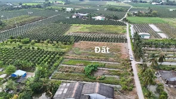 3 Lô Đất Thổ Cư Phước Tân Hưng, Châu Thành - Giá 360 Triệu