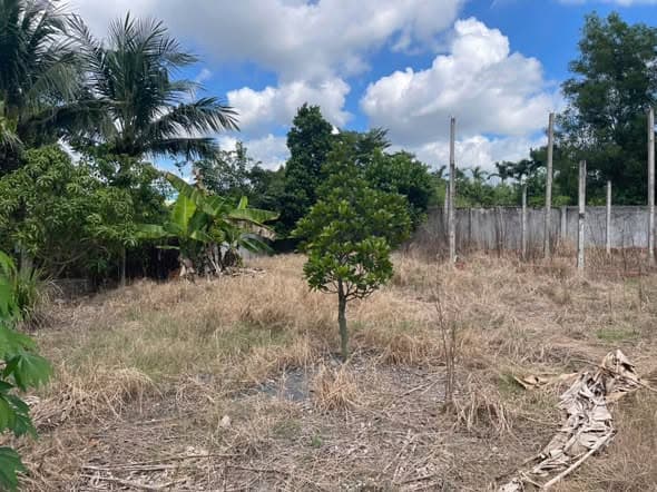 Kho Xưởng 3273m2 Mặt Tiền ĐT 824 - Giá Tốt 35 Tỷ