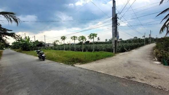 Bán Đất Lúa 1195m2 Hai Mặt Tiền Tại Châu Thành, Long An - Giá Tốt, Sổ Đỏ Full Thổ Cư