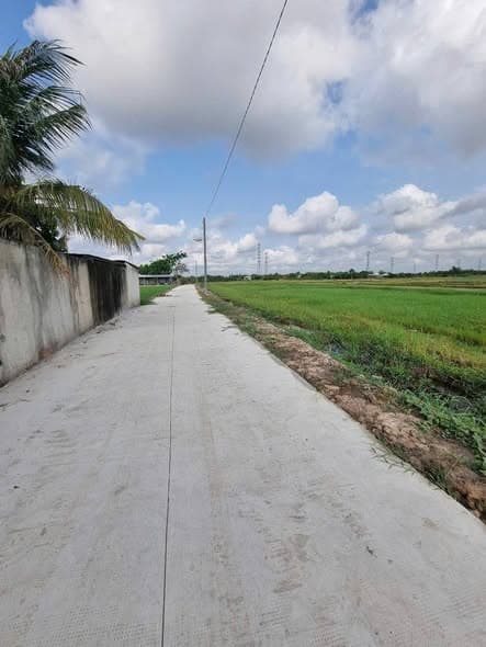 Bán Gấp Lô Đất Lúa Mặt Tiền 200m Tại Hòa Khánh Tây, Đức Hòa - Giá Đầu Tư Chỉ 66 Triệu/m Ngang