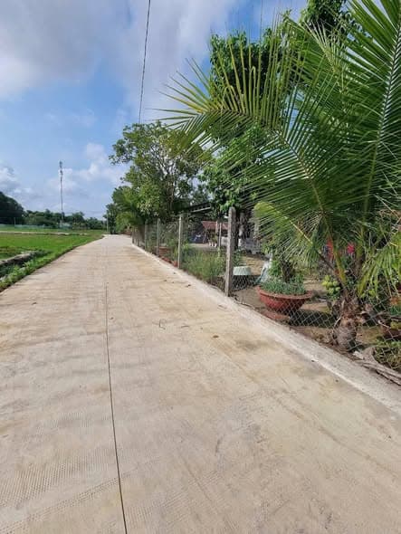 Bán Gấp Lô Đất Lúa Mặt Tiền 200m Tại Hòa Khánh Tây, Đức Hòa - Giá Đầu Tư Chỉ 66 Triệu/m Ngang