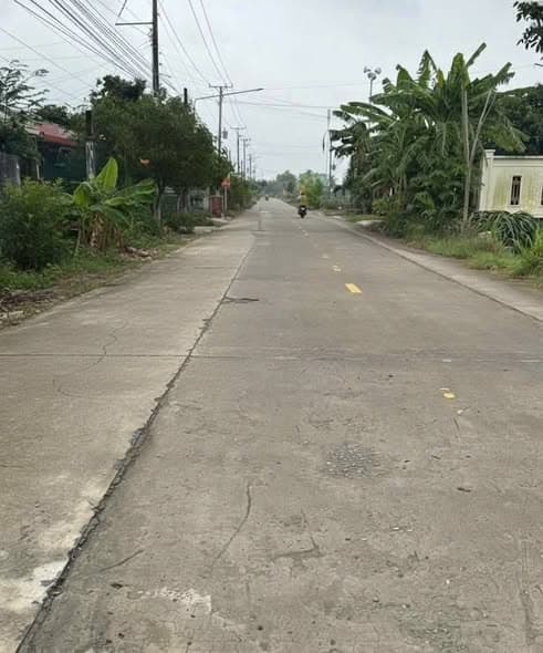 Bán Gấp Đất Thổ Cư Mặt Tiền Lộ Dừa, Châu Thành, Long An - Giá Chỉ 1 Tỷ