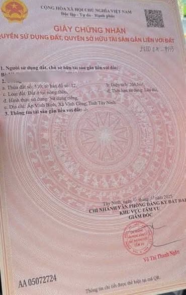 Bán Gấp Đất Thổ Cư Mặt Tiền Lộ Dừa, Châu Thành, Long An - Giá Chỉ 1 Tỷ