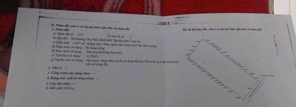 Giá Tốt! Bán 1000m² Đất Lúa Mặt Tiền Tại Hướng Thọ Phú, TP Tân An, Chỉ 2.1 Tỷ